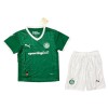 Oficiální Fotbalový Dres Palmeiras Domácí 2025-26 pro Děti